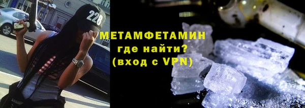 шишки Верея