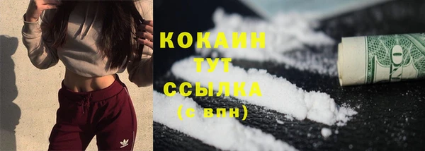 шишки Верея