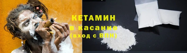 шишки Верея