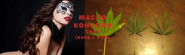 шишки Верея