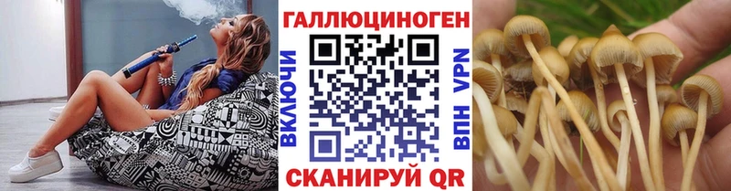 купить наркоту  Георгиевск  Псилоцибиновые грибы Cubensis 