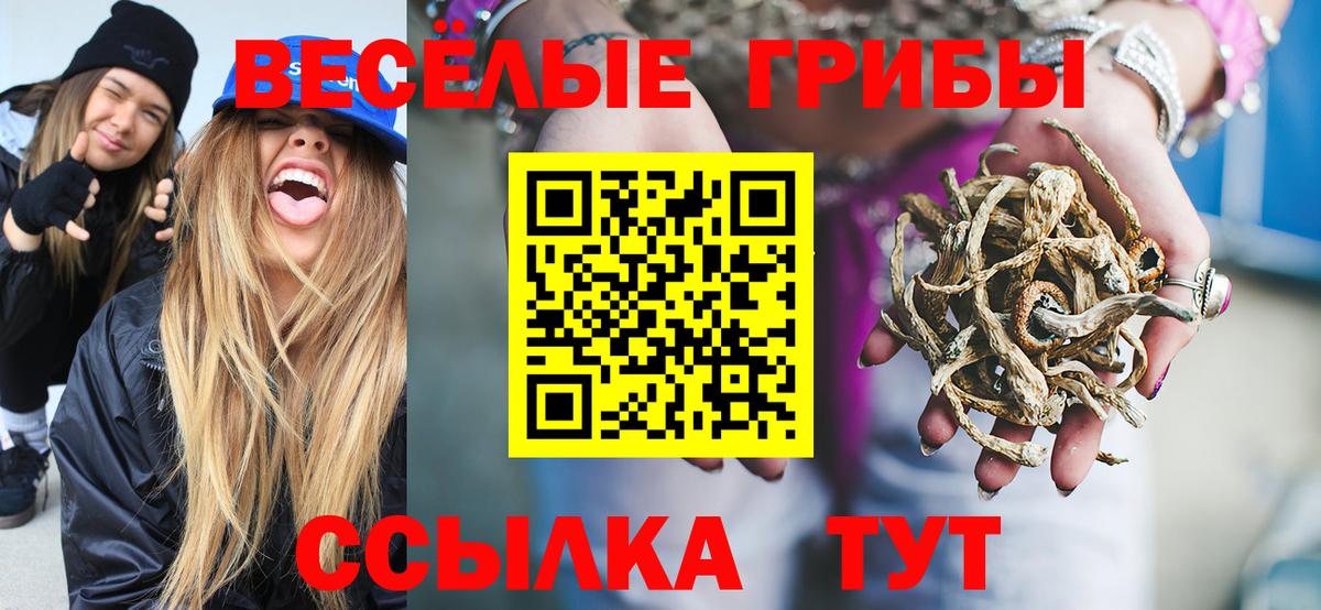 Галлюциногенные грибы Cubensis  Вход с VPN  Георгиевск 