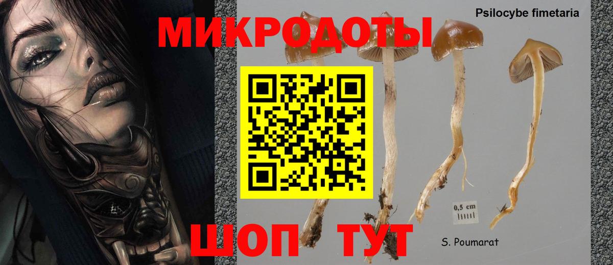 купить  сайты  Галлюциногенные грибы Cubensis  Георгиевск  Псилоцибиновые грибы мухоморы 