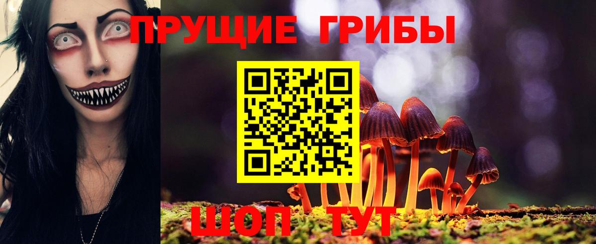 Псилоцибиновые грибы мухоморы Георгиевск